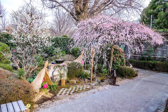 ������~�i���E���Ƌ{ �~�ڂ���j