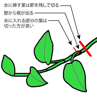 |gX̐}@̐01