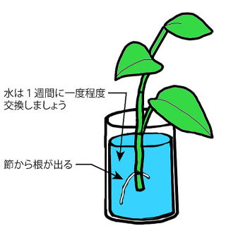 |gX̐}@̐02