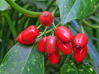 AIL̎̃Abv