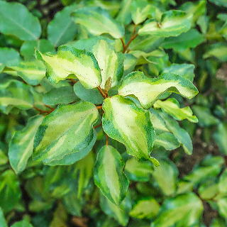 �}������