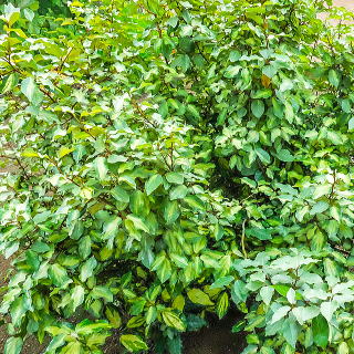 �}������