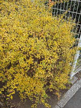 ���L���i�M�̍g�t